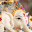 sudhanshu_tiw3212's user avatar