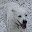 Frank Yellin's user avatar