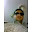 Shreyas Acharya's user avatar